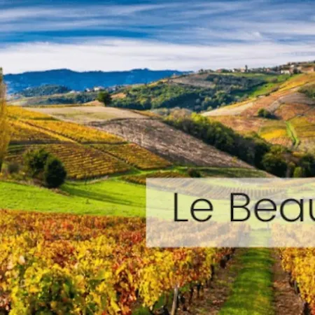 Le Temps D'une Pause: Beaujolais-view Retreat With Ev Charging